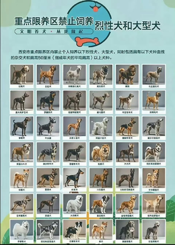 多地解禁土狗！