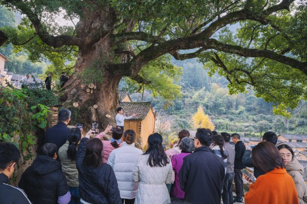 从“听客”到“主角”，浙江松阳这场宣讲“唠”进巨匠心坎里