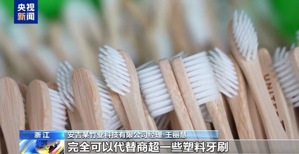 从牙刷到交通护栏，“以竹代塑”让竹子不错“百变”