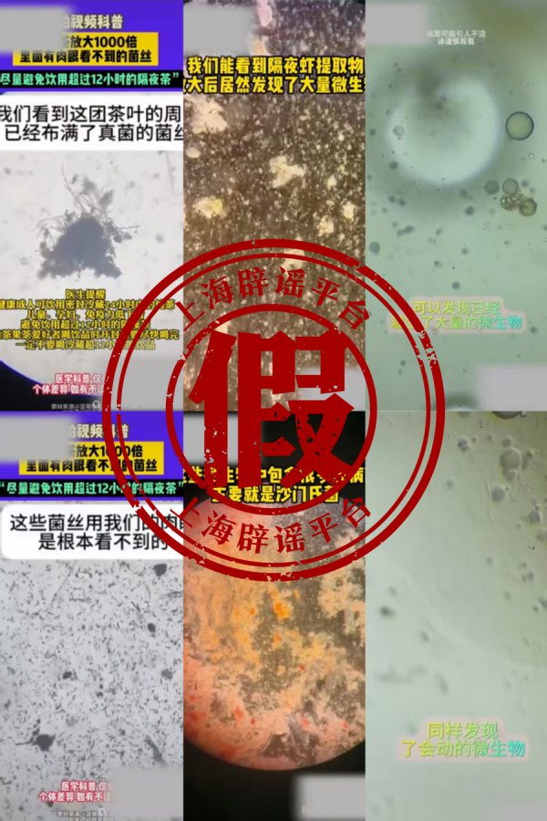 隔夜食物在显微镜下细菌超标让东谈主心惊肉跳？短视频里的“实验”委果度有几许？